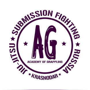 Статистика Дзен Бразильское джиу-джитсу Краснодар. BJJ для всех уровней подготовки.