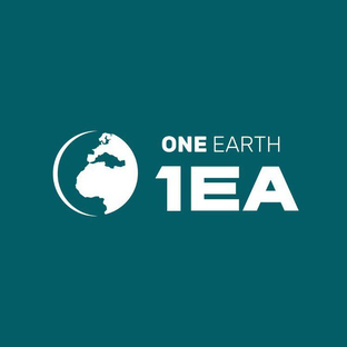 Статистика Дзен 1EA Земля Одна