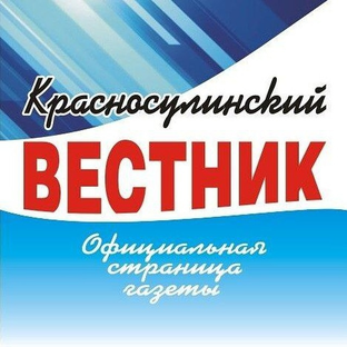 Статистика Дзен Газета "Красносулинский вестник"