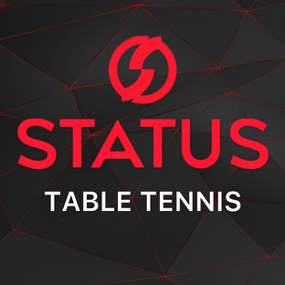 Статистика Дзен Status Table Tennis