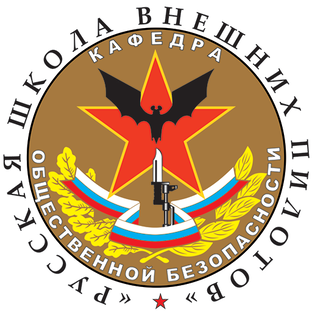 Статистика Дзен РУССКАЯ ШКОЛА ВНЕШНИХ ПИЛОТОВ