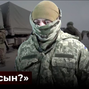 Статистика Дзен Поиск пропавших без вести на СВО