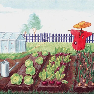 Статистика Дзен Клубневая долина🌱