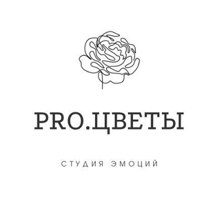 Статистика Дзен Pro.Цветы | Нижний Новгород | Доставка