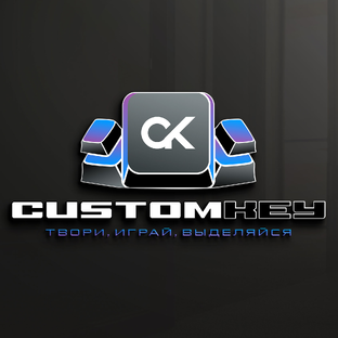 Статистика Дзен CustomKey