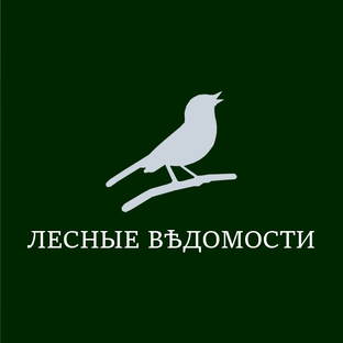 Статистика Дзен Лесные Вѣдомости