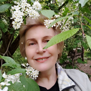 Статистика Дзен Ольга Лач