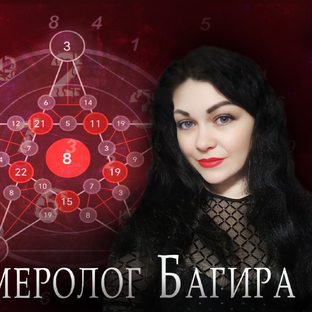 Статистика Дзен Цифровой Нумеролог 