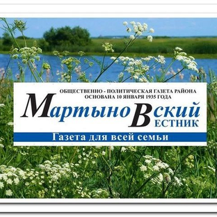 Статистика Дзен Газета "Мартыновский вестник"