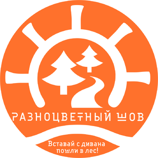 Статистика Дзен Разноцветный шов