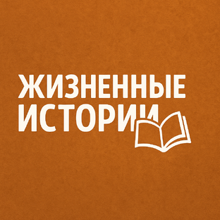 Статистика Дзен Жизненные истории