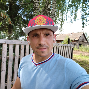 Статистика Дзен Алексей Полонский