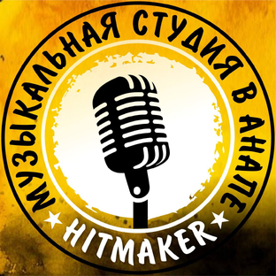 Статистика Дзен Музыкальная студия в Анапе Hit Maker