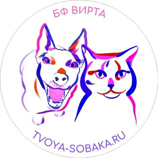 Статистика Дзен Надо брать!