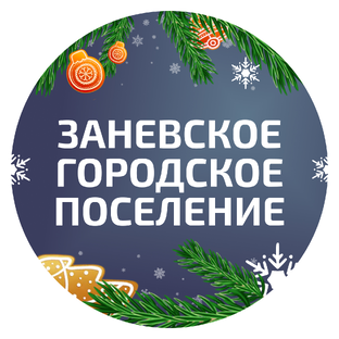 Статистика Дзен Заневское городское поселение
