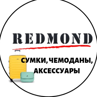 Статистика Дзен Сумки, чемоданы Redmond
