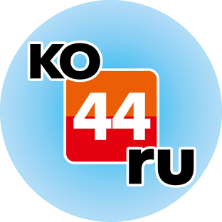 Статистика Дзен KO44.RU