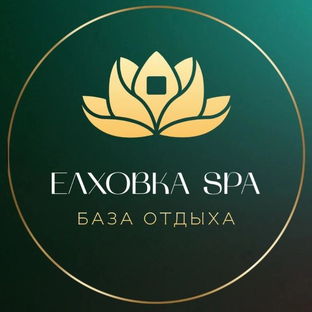 Статистика Дзен Елховка SPA