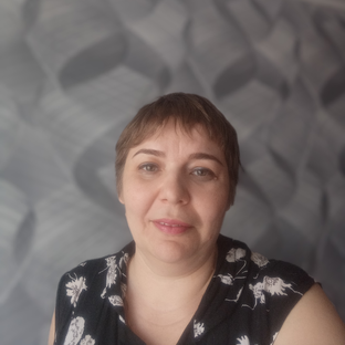 Статистика Дзен Ирина Донская