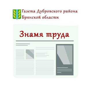 Статистика Дзен Газета "Знамя труда" Дубровского района
