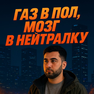 Статистика Дзен Газ в пол, мозг в нейтралку