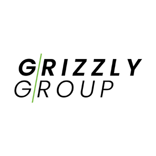 Статистика Дзен Grizzly Group