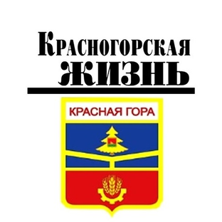 Статистика Дзен ГАЗЕТА «Красногорская жизнь»