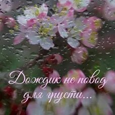 Статистика Дзен Страницы маленького города