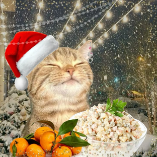 Статистика Дзен ❄️Happy New Year☃️...