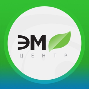 Статистика Дзен ЭМ-центр доктора Шаблина П.А.