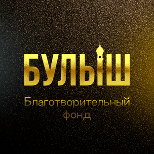 Статистика Дзен Благотворительный фонд «БУЛЫШ»