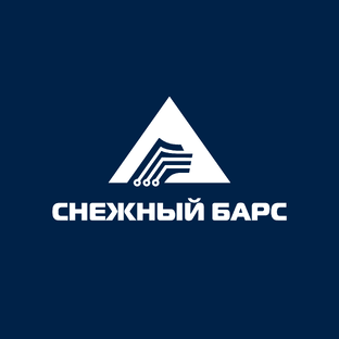 Статистика Дзен snowbars_it