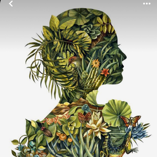 Статистика Дзен 🥑 На зеленой стороне 🌿