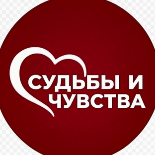 Статистика Дзен Судьбы и Чувства