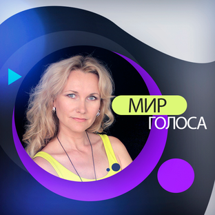 Статистика Дзен  Мир Голоса