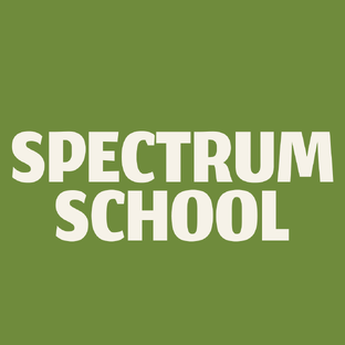 Статистика Дзен SpectrUm_School