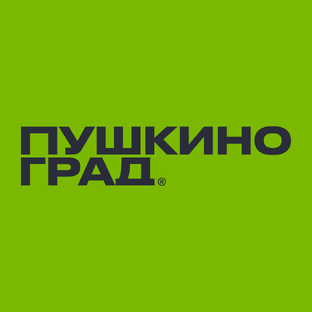 Статистика Дзен Пушкино Град - Официальный канал жилого комплекса в Пушкино