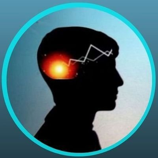 Статистика Дзен Гавань гармонии