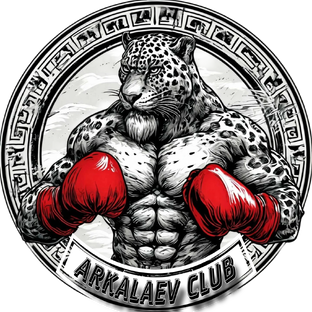 Статистика Дзен ARKALAEV CLUB
