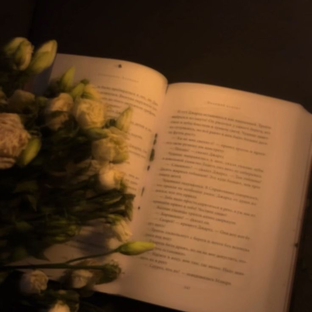 Статистика Дзен Книжный червь🪱📚✨️