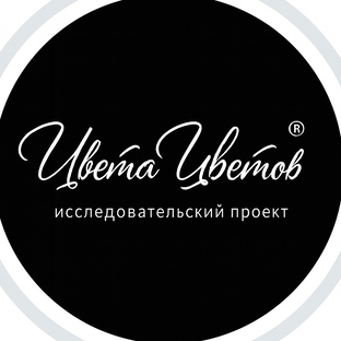 Статистика Дзен Цвета Цветов