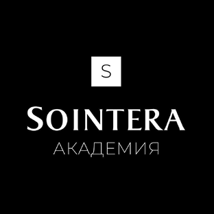 Статистика Дзен SOINTERA АКАДЕМИЯ
