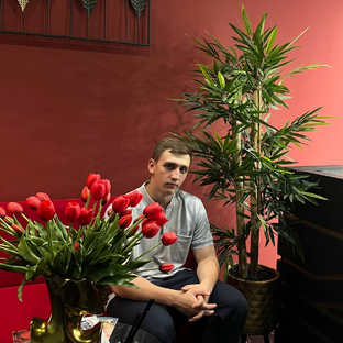 Статистика Дзен Александр Куваев