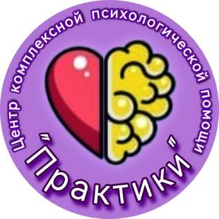 Статистика Дзен Практики