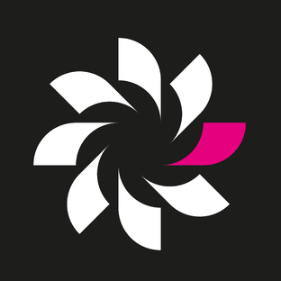 Статистика Дзен Phronesis Innovations