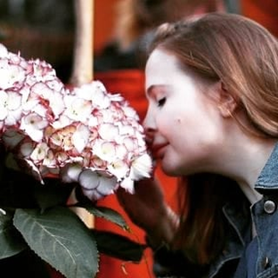 Статистика Дзен Papa & Mama: инструкция к применению.