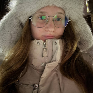 Статистика Дзен Алиска🦊