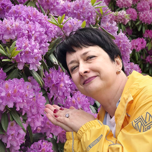 Статистика Дзен pro_100_decor