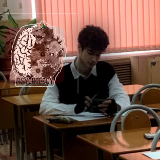 Статистика Дзен psychology 