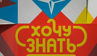 Статистика Дзен Всё о всём 